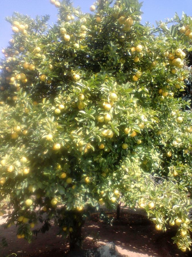 Heila'S In House Family Room-Homestay! Bloemfontein Esterno foto